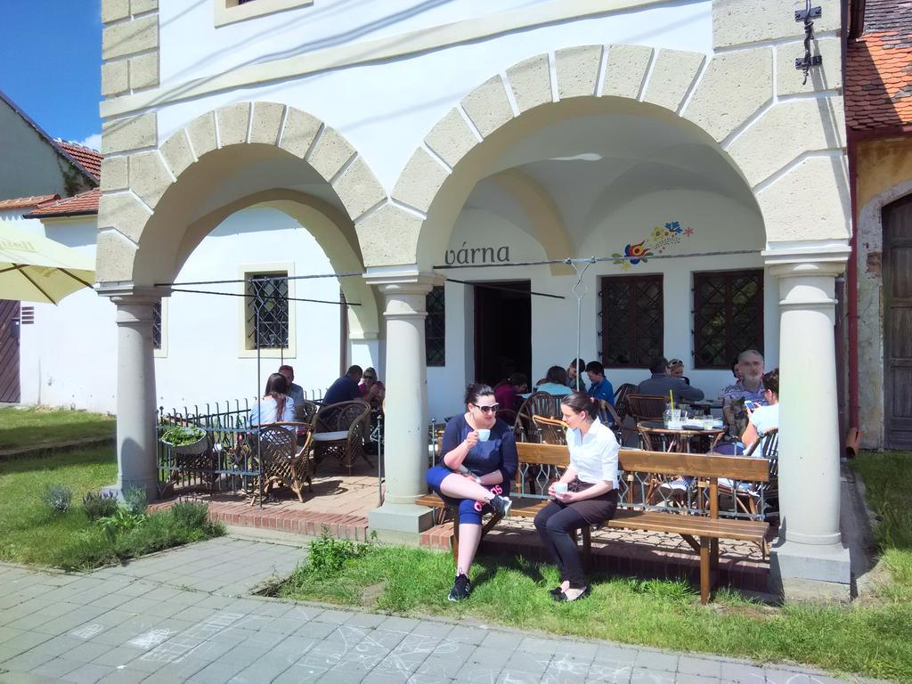 Hotel Habansky Dum Dolni Vestonice Exterior foto